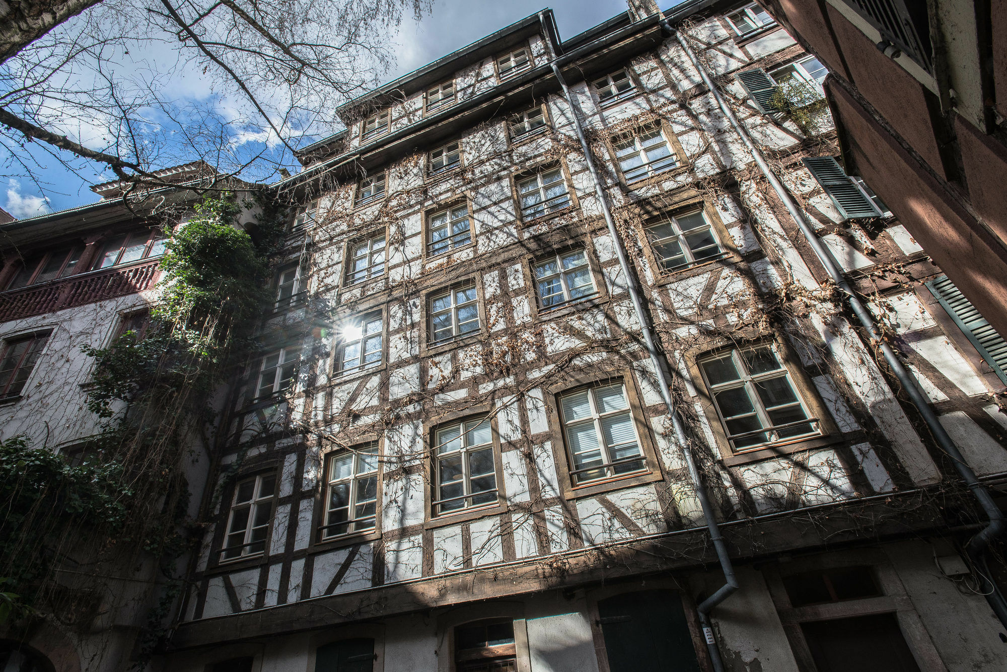 Appartement Des Moulins Straßburg Exterior foto